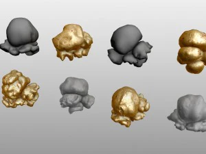 popcorn kernels 3D Model