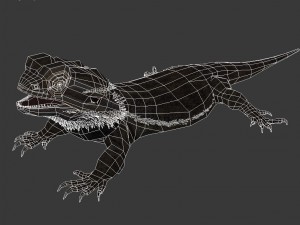 bearded dragon lizard pet Modèle 3D
