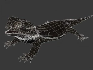 animal de estima&ccedil;&atilde;o lagarto drag&atilde;o barbudo Modelo 3D