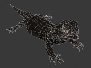 bearded dragon lizard pet Modèle 3D