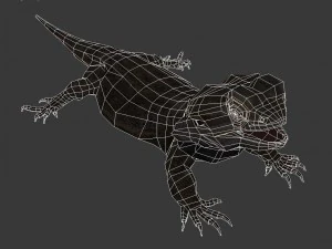 animal de estima&ccedil;&atilde;o lagarto drag&atilde;o barbudo Modelo 3D