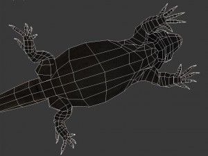 bearded dragon lizard pet Modèle 3D