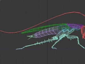 cockroach 3D Model