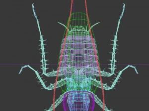 cockroach 3D Model
