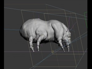 dust mite 3D Model