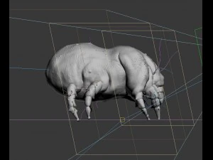 dust mite 3D Model
