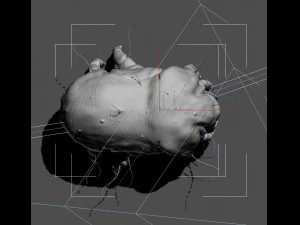 dust mite 3D Model