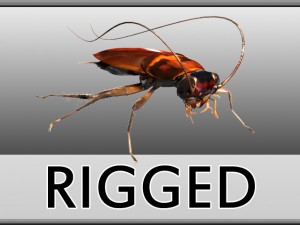 cockroach rigged 3D Model