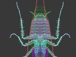 cockroach rigged 3D Model