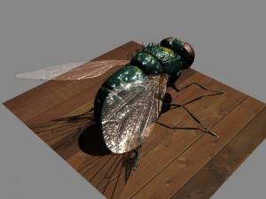 fly rigged 3D Model