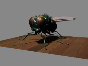fly rigged 3D Model