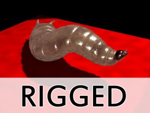 maggot rigged 3Dモデル