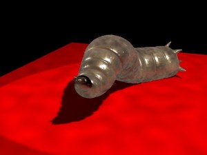 maggot rigged 3D Модель