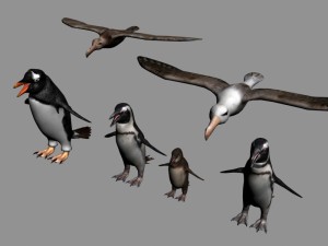 antarctic wildlife collection penguins chicks albatross 3D Модель