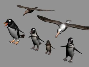 antarctische wildlife collectie pingu&iuml;ns kuikens albatros 3D Model