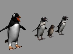 antarctic wildlife collection penguins chicks albatross Modelo 3D