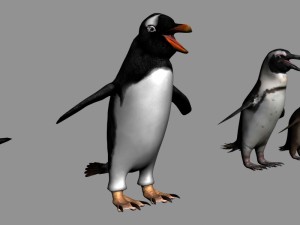 antarctic wildlife collection penguins chicks albatross Modelo 3D