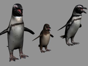 antarctic wildlife collection penguins chicks albatross Modelo 3D