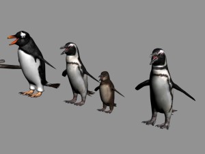 antarctic wildlife collection penguins chicks albatross Modelo 3D