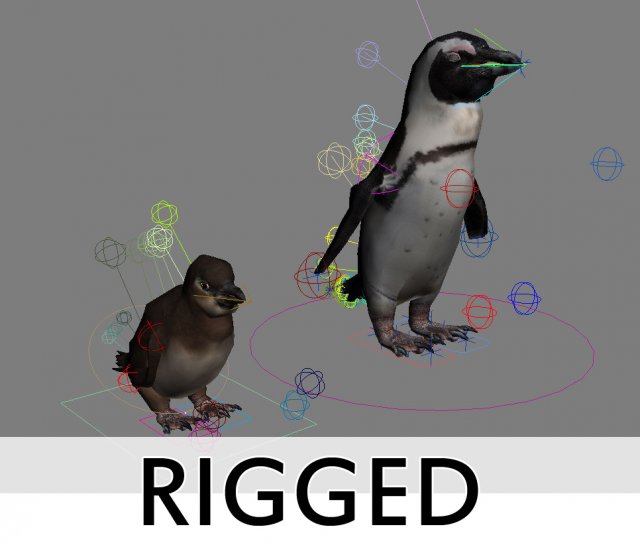 penguins rigged Model 3D .c4d .max .obj .3ds .fbx .stl .blend 