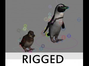 penguins rigged 3D Модель
