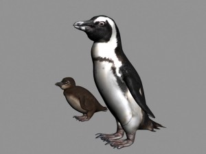 penguins rigged Model 3D