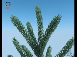 christmas tree 3D Model