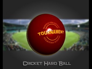 cricket hard ball 3Dモデル