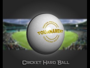 cricket hard ball 3Dモデル