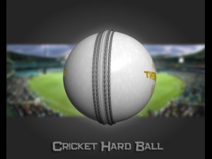 cricket hard ball 3Dモデル