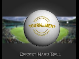 cricket hard ball 3Dモデル