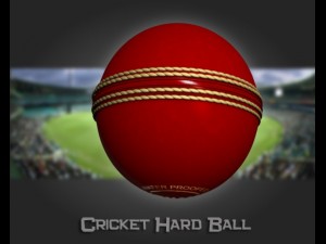 cricket hard ball 3Dモデル