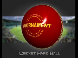 cricket hard ball 3Dモデル
