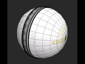 cricket hard ball 3Dモデル