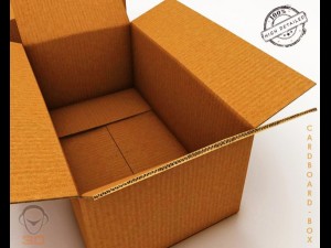 cardboard box 3D Model