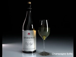 champagne bottle glass 3D Model
