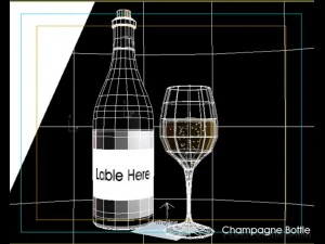 champagne bottle glass 3D Model
