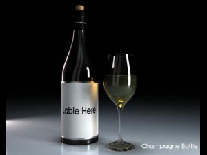 champagne bottle glass 3D 模型