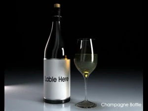champagne bottle glass 3D Model