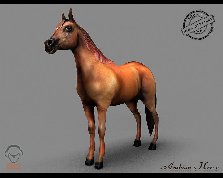 arabian horse 3D Model .c4d .max .obj .3ds .fbx .stl .blend 