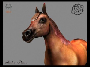 arabian horse Model 3D