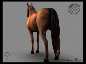 arabian horse Model 3D