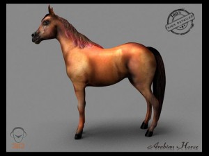 arabian horse Model 3D