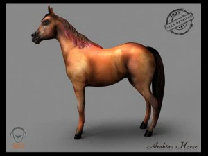 arabian horse 3D Model