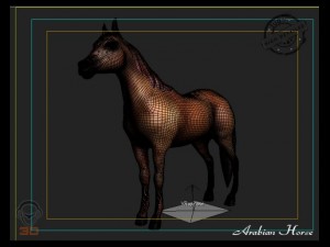 arabian horse Model 3D