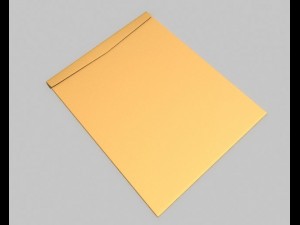envelopes 3D 모델