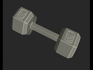 dumbbells 3D Model