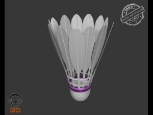 shuttlecock 3D Model