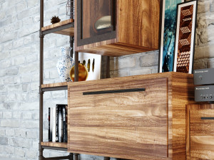 tvs cabinet tc2 Modelo 3D
