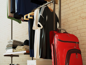 Hall tree and Clothing Rack CR10 3D Model
